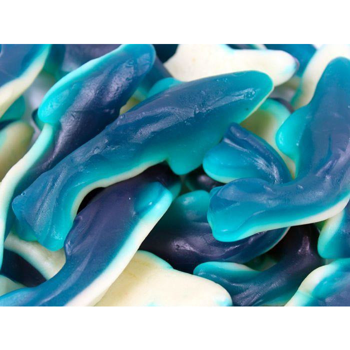 Gummy Sharks - Chocolate Works of Bellmore